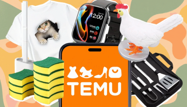 Why Is Temu So Cheap? 6 Insider Reasons Exposed + What You Should Know