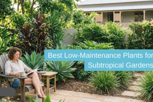 Best Low-Maintenance Plants for Subtropical Gardens